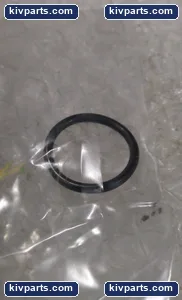 IMI CCI 2-RO Black Elastomer Control Valve – actual item, photo 3 of 4
