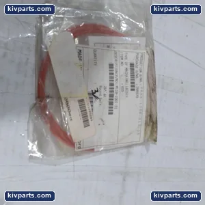 M119-1001-31 Round Drive Belt – actual item, photo 2 of 5