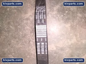 Gates 8355M25 Industrial Timing Belt – actual item, photo 2 of 3