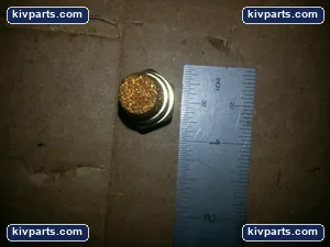 0037875 Brass Connector Filter – actual item, photo 5 of 5