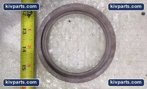 BOP-MAIN-1A036E6 Electric Motor Bearing Seal – actual item, photo 3 of 3