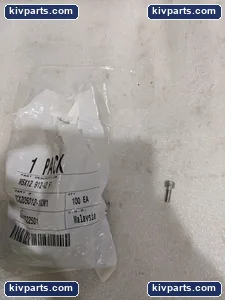 SCX205012-100M1 912 A2 Metric Stainless Socket – actual item, photo 2 of 7