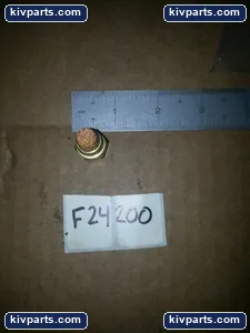F24200 Brass Fitting Filter – actual item, photo 3 of 5