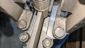 Fisher CF8M FNW Globe Valve