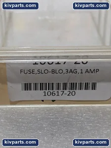 11/ORDER Slow-Blow Glass Fuse – actual item, photo 2 of 6