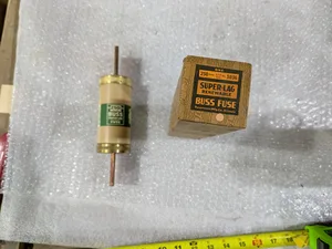 Bussmann REN-250 1036 Super-Lag Renewable Fuse