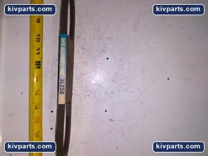 Dayco 3L250 Belt – actual item, photo 3 of 4