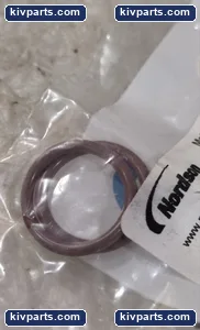 Nordson 1106992 O-Ring Seal – actual item, photo 4 of 4