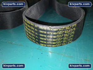 25-120720 Serpentine Belt – actual item, photo 2 of 4
