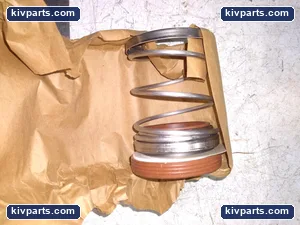 Flowserve PAC-Seal Shaft Seals – actual item, photo 2 of 5