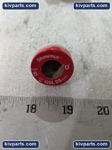 Mersen GSL25 Fuse – actual item, photo 5 of 8