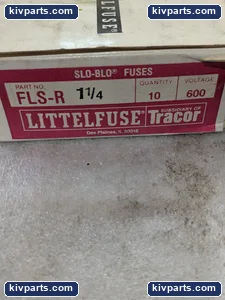 Littelfuse FLS-R 1 SLO BLO Time Delay Fuse – actual item, photo 2 of 7