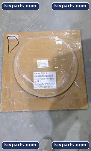 Plant S0263611 – actual item, photo 6 of 6