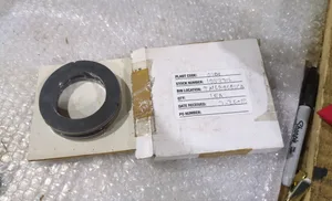 Plant MS0CASCA – actual item, photo 1 of 4
