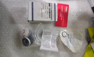 Emerson 40820EA Valve