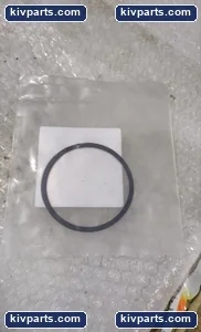 Regal Beloit 2304970 Kop-Flex Gear Coupling – actual item, photo 2 of 3