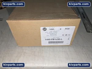 Allen-Bradley 1492-FB1J30-L Fuse Holder – actual item, photo 4 of 5