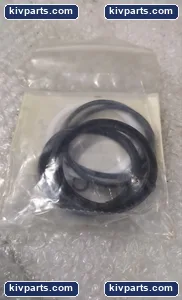 Asline P-106876-K0000 Rexroth Pneumatic Cylinder Seal – actual item, photo 2 of 4