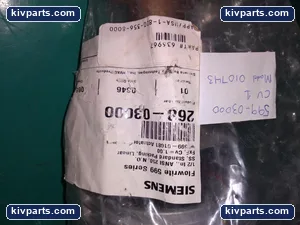 Siemens 268-03000 Flowrite 599 Valve – actual item, photo 2 of 8