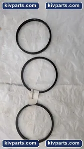FE602256001 Phil-Tite Tank Riser Gasket – actual item, photo 3 of 5