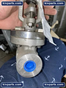 Bonney Forge 3/4” - 150 F316L Stainless Steel Gate Valve – actual item, photo 3 of 4