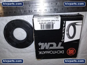 30X65X10SC-BX Dichtomatik TCM – actual item, photo 2 of 4