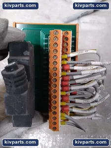 Weidmuller Control DIN Rail Connector – actual item, photo 7 of 7
