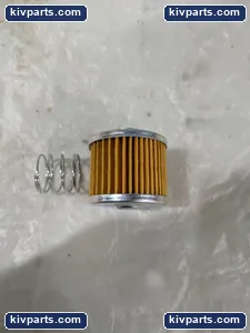 BQTAX/00 Source TC 20801-02061 Filter – actual item, photo 4 of 5