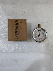 Lenz Gauge – actual item, photo 1 of 6