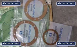 gersoll-Dresser 2QMU9 Pumps 61055117 Gasket – actual item, photo 2 of 4
