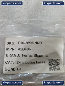 Mersen A2D40R Dual Element Time Delay Fuse – actual item, photo 2 of 8
