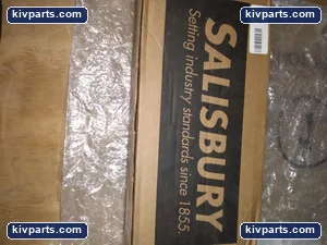 Salisbury E011B/10 Safety Relay – actual item, photo 3 of 8
