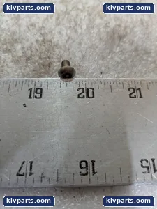 230188 TORX 18-8 SS Button – actual item, photo 4 of 5