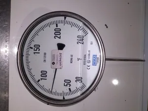 WIKA RT0 01034 Thermometer S5551