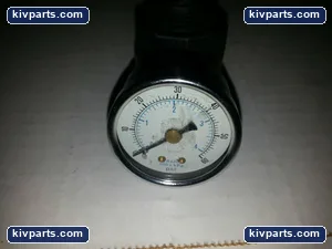 Watts R164-02BK Fluidair Air Pressure Regulator – actual item, photo 3 of 4