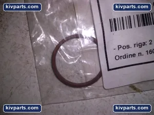Vigel 036573.529 Seal Gasket – actual item, photo 3 of 4