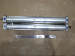 Vega NCDA1D250-2200-03005CDN Air Cylinder