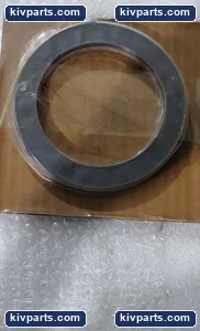 Plant O5348 – actual item, photo 3 of 4