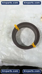 Chesterton Seal Ham Injection Seals – actual item, photo 7 of 8
