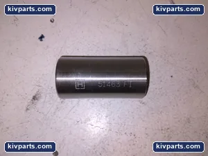 51463 FI Spring Eye Bushing – actual item, photo 2 of 4