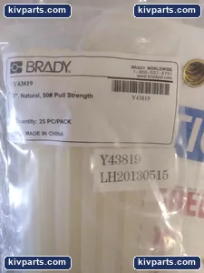 Brady Y43819 Safety Relay – actual item, photo 2 of 4