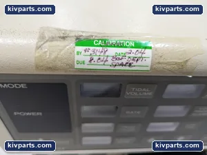 BV843-81 – actual item, photo 3 of 15