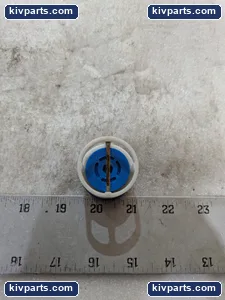 Wayne Check Valve – actual item, photo 6 of 7