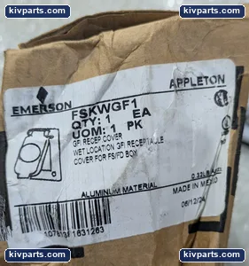 FSKWGF1 Emrson – actual item, photo 2 of 6