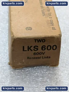 Bussmann LKS-600 Super-Lag Fuse – actual item, photo 2 of 8