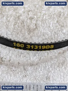 19711-01 101 Tooth Toothed Drive Belt – actual item, photo 4 of 6