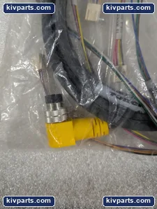 Turck BSWM-12-001-5 Single-ended Mating Cable – actual item, photo 5 of 9