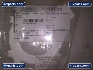 KC-.GG9.107 Multi-Ring UltraPure Gasket – actual item, photo 2 of 4