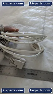 E101344 – actual item, photo 5 of 7
