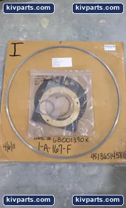 Hrtl 161-F Gasket – actual item, photo 5 of 5